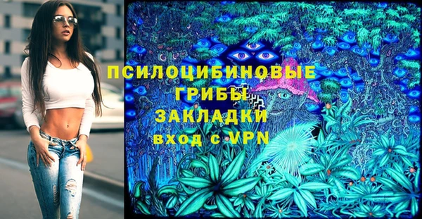 гашик Бронницы