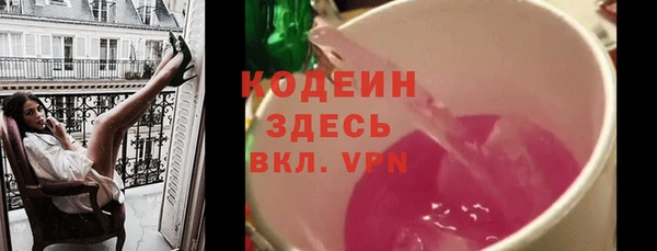 шишки Бородино