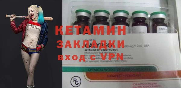 шишки Бородино