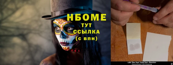 шишки Бородино