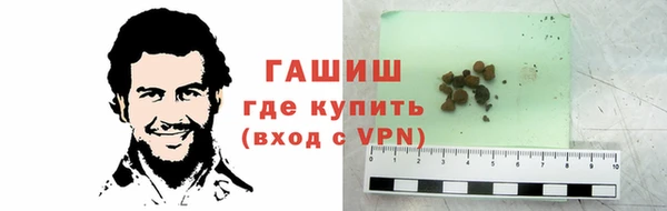 шишки Бородино