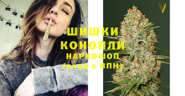 гашик Бронницы