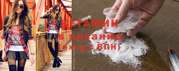 шишки Бородино