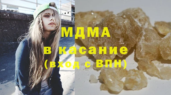 шишки Бородино