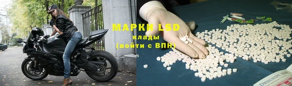 шишки Бородино