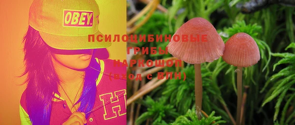 гашик Бронницы